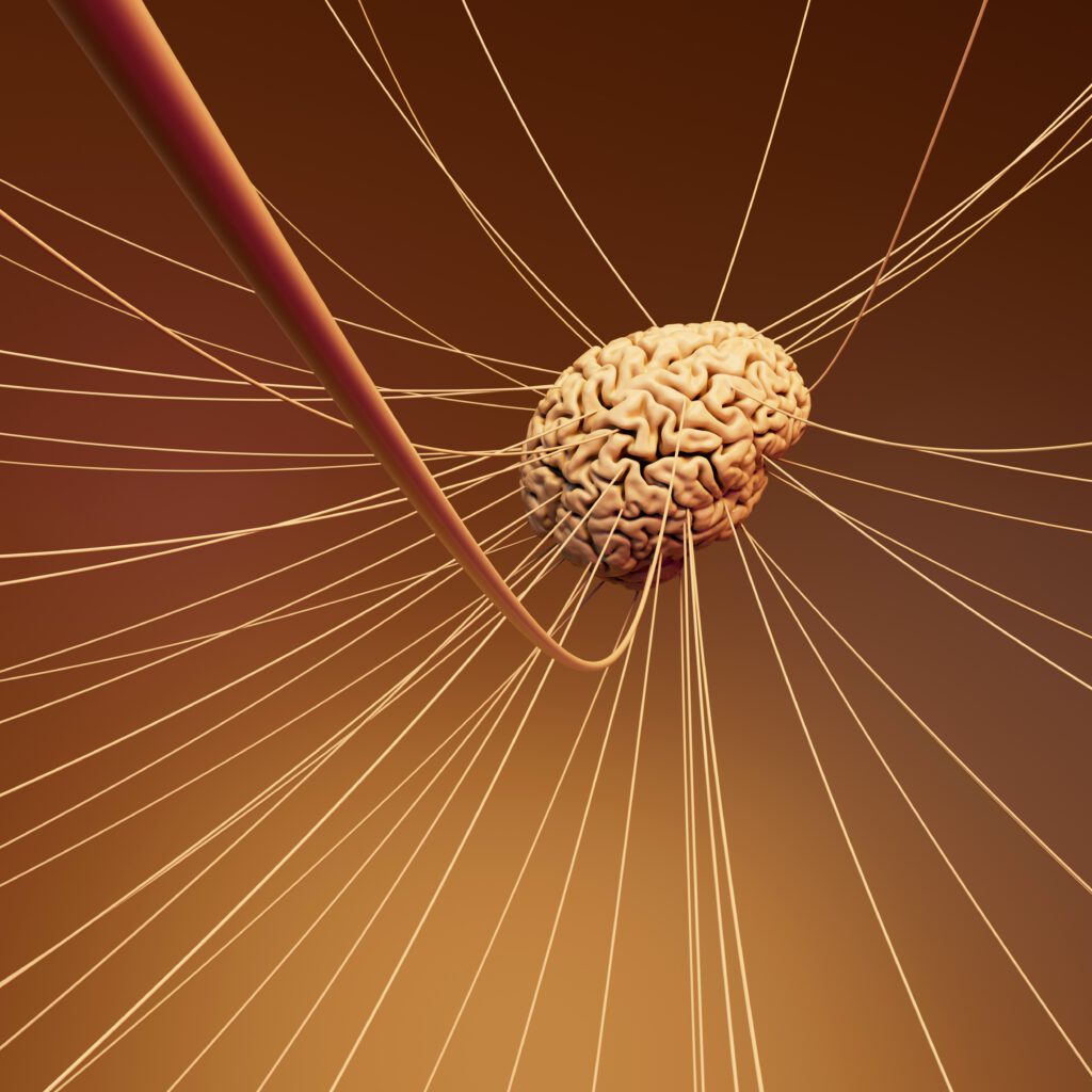 gehirn-mit-nerven-straengen